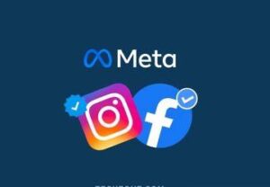 SEO Expert in calicut